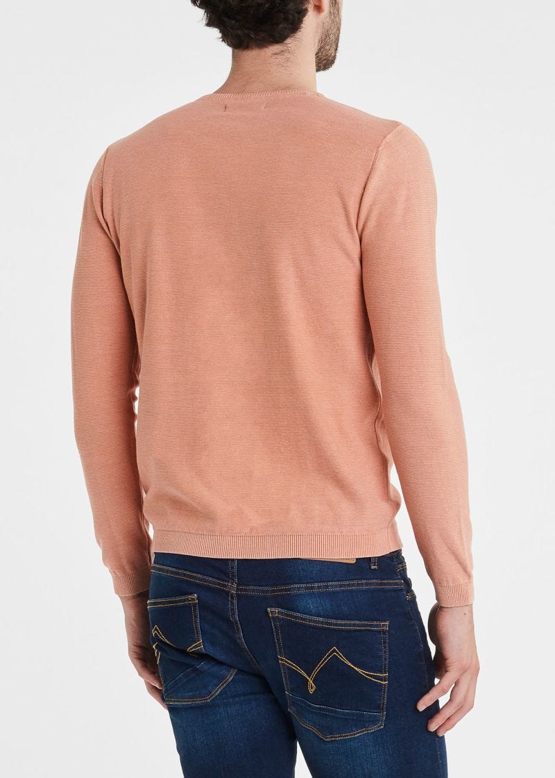 Gaudì Crewneck Sweater In Cotton