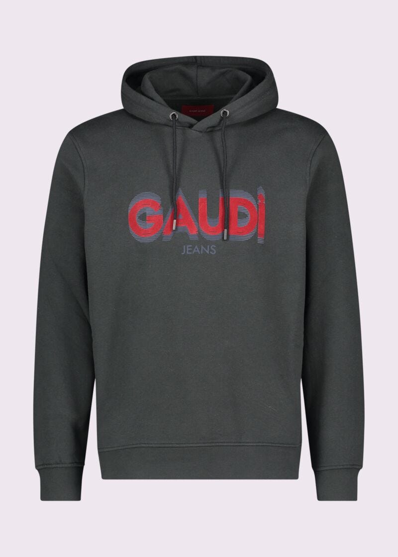 Hooded cotton sweatshirt