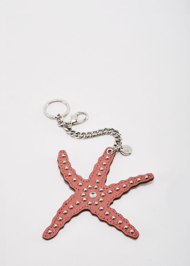 Starfish key chain 