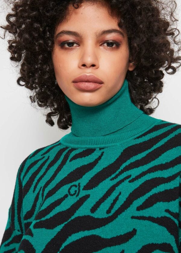 Pull animalier jacquard