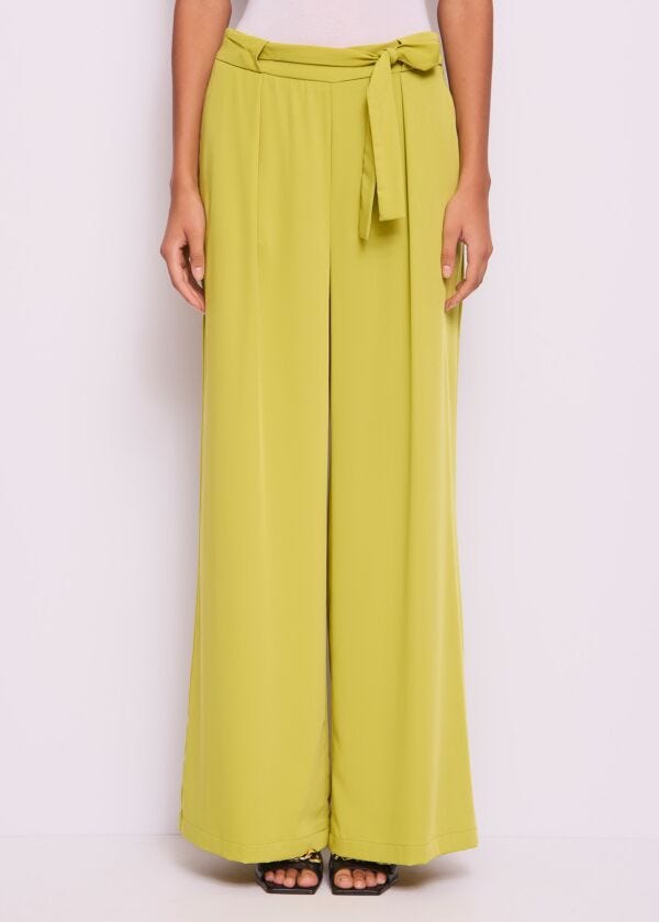 Pantaloni da donna verdi con pinces Gaudì Jeans