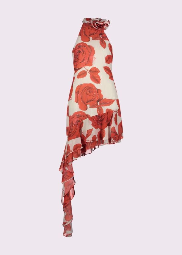 Abito da donna con stampa floreale