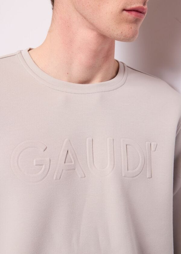 Men's grey sweatshirt with logo