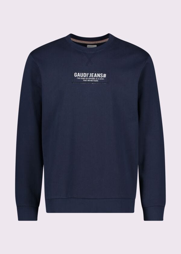Men's blue cotton sweatshirt