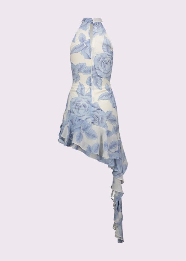 Women's printed georgette dress