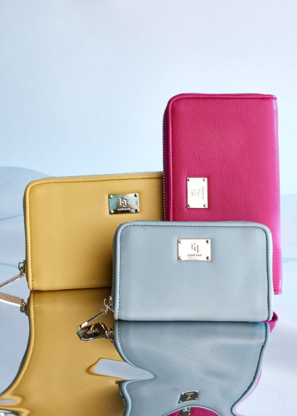 Light blue mini zip-around wallet Gaudì Fashion