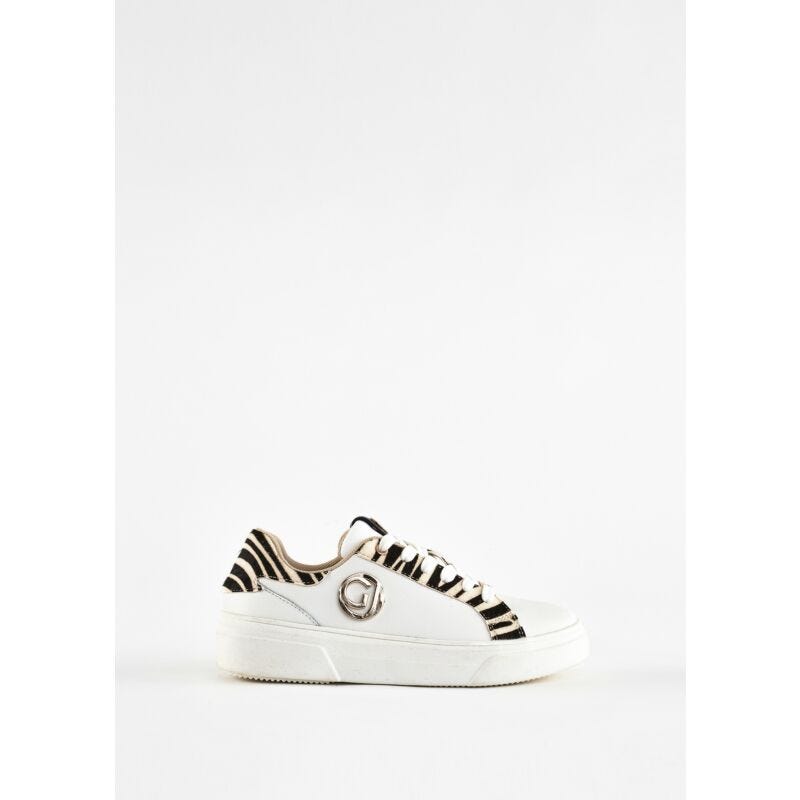 Converse impala italia discount