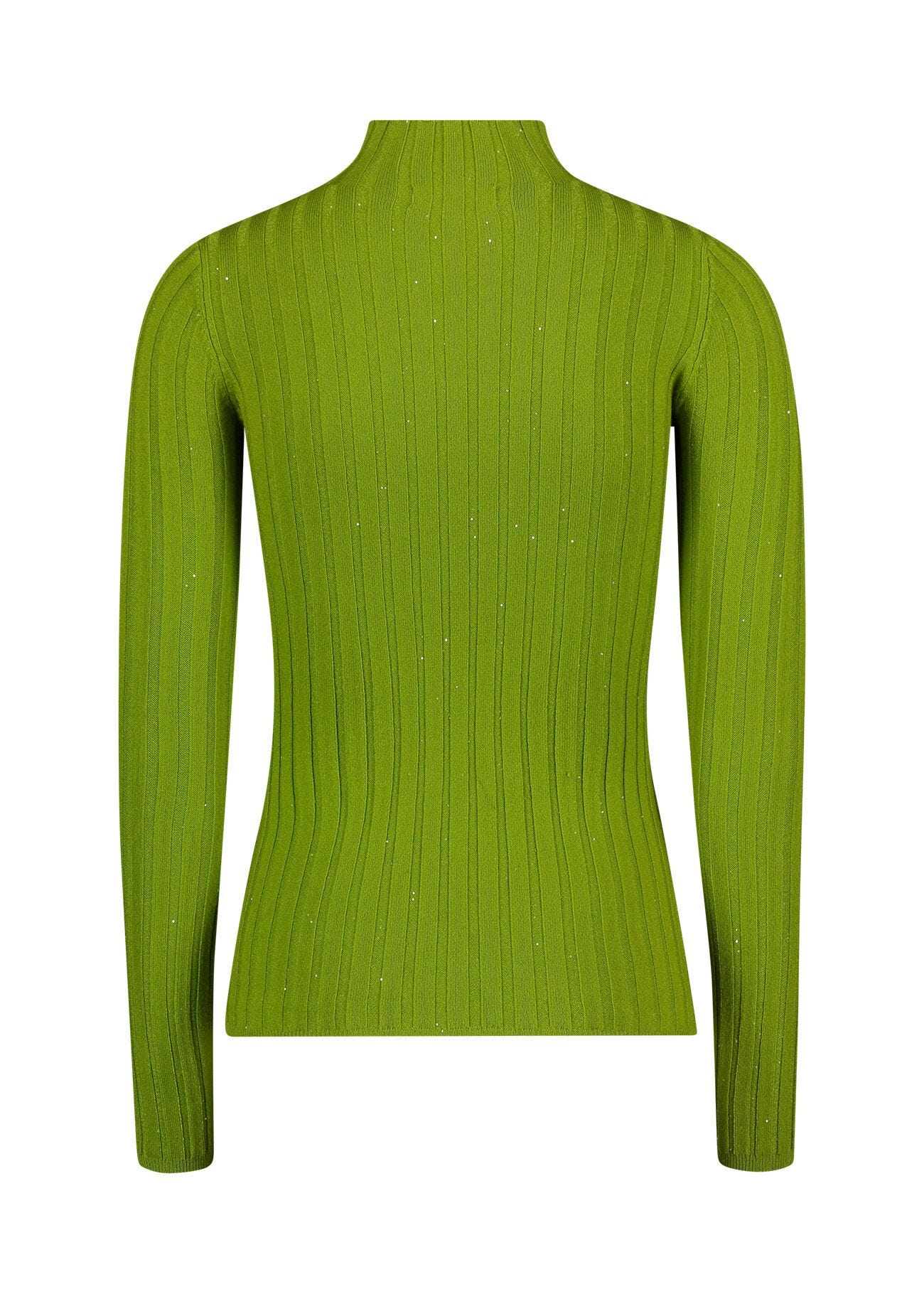 Rribbed turtle neck jumper
