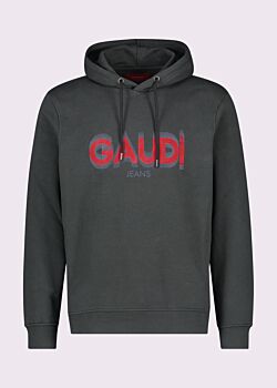 Forest River Hooded cotton sweatshirt Gaudì Homem